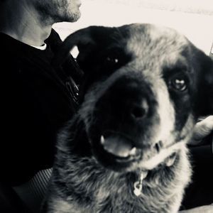 Meet your Posher, Joshua